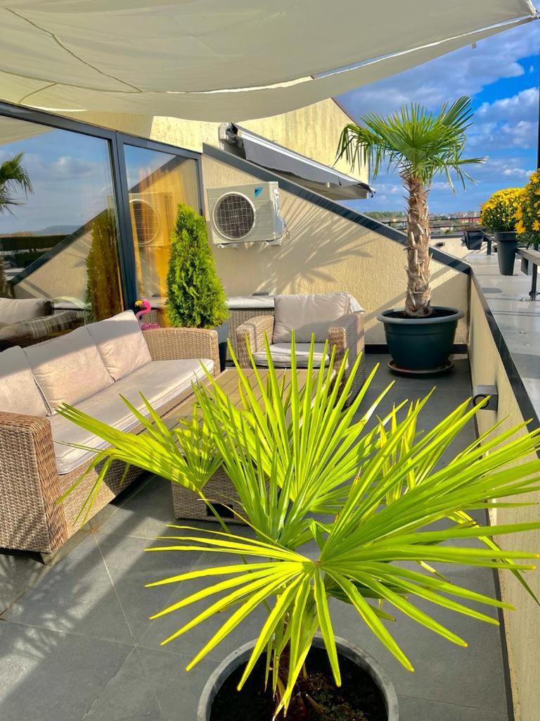 Penthouse Exclusive View , Iasi公寓 外观 照片