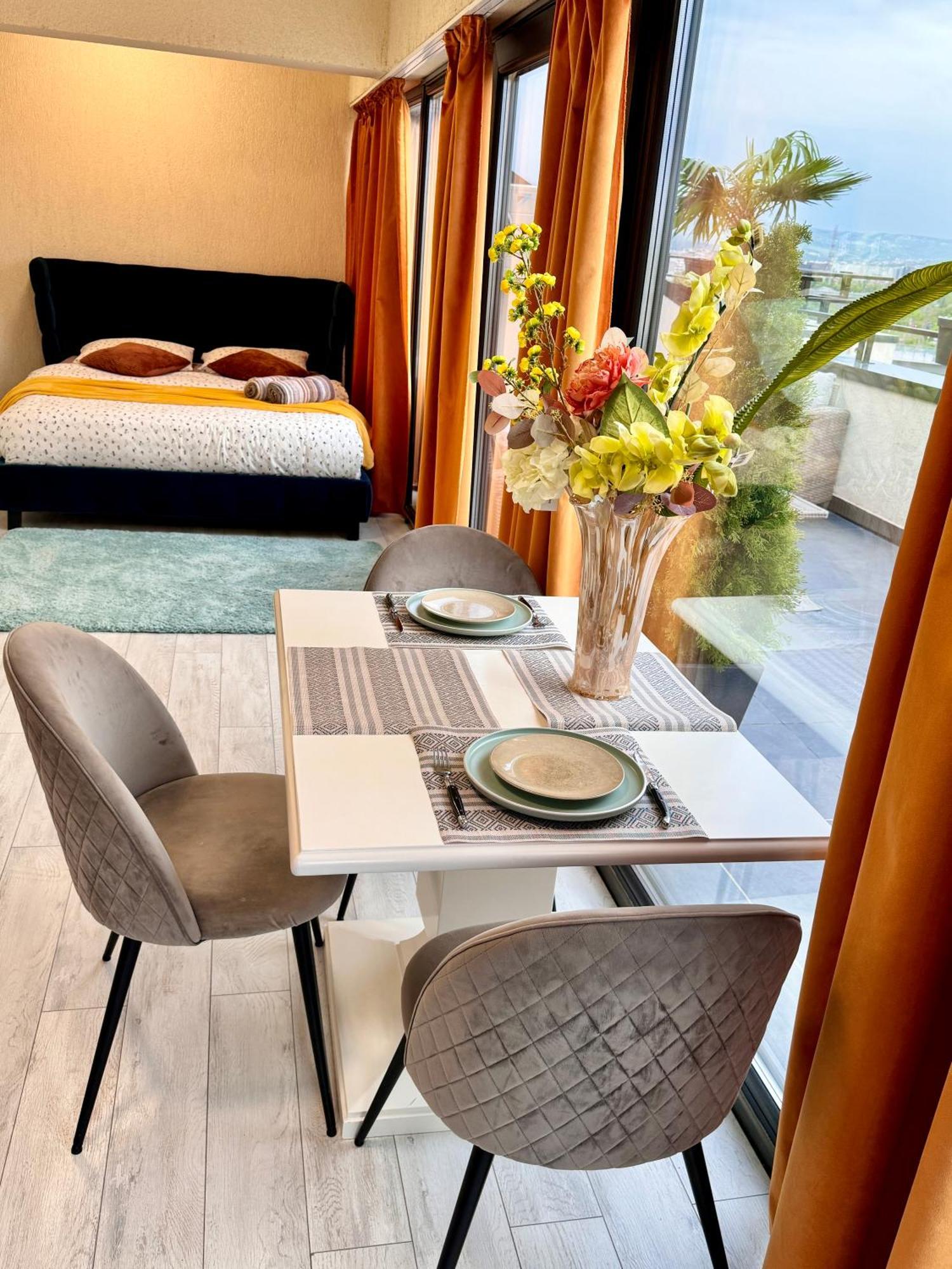 Penthouse Exclusive View , Iasi公寓 外观 照片